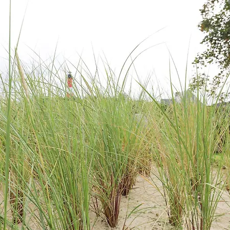 Сasa de vacaciones Sonnenscheinsylt Kapitaenshaus *